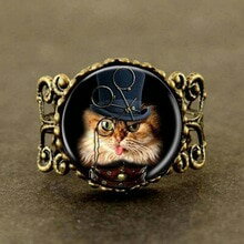 猫　キャット　リング　アートジュエリーガラスリングqiyufang steampunk monocle lover art jewelry glass cat ring