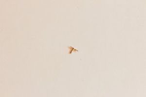 【送料無料】腕時計　レバーtiretto setting lever 4431 mst 446