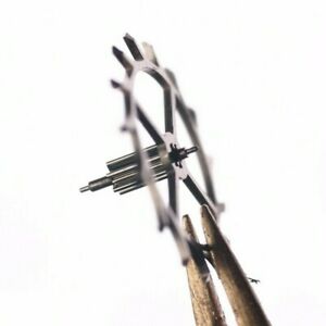 【送料無料】腕時計　エスケープホイールfhf 26 27 ruota scappamento escape wheel