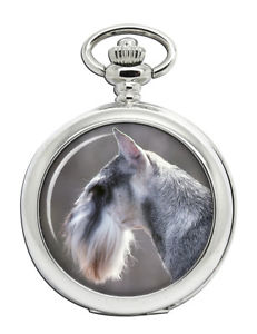 【送料無料】腕時計　オプション