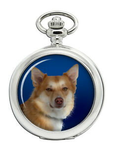 【送料無料】腕時計　アイスランドオプション