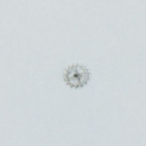 【送料無料】腕時計 ホイールruota scappamento escapement wheel ref705 fhf 175