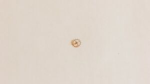 【送料無料】腕時計　ホイールruota scappamento escapement wheel ref705 ut 630