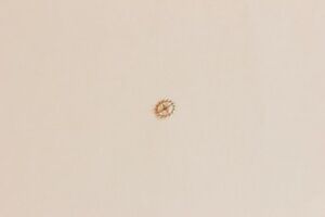 【送料無料】腕時計　ホイールruota scappamento escapement wheel ref705 ut 6470