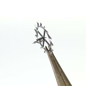 【送料無料】腕時計　ホイールpeseux 320 ruota scappamento escapement wheel