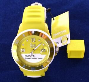 【送料無料】腕時計　ユニバースライムウォッチウォッチ ice watch pantone 130650 universe sulphur s..