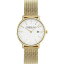 【送料無料】腕時計　ケネスオックスフォードミニkenneth cole gents oxford mini watch kc15057006