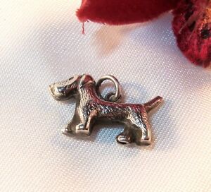 ̵ۥ꡼ͥå쥹ڥȥСcolgante perro paras charm perrito mind 800 plata charmsbk 290