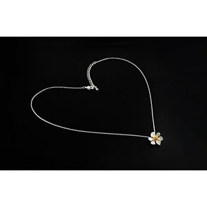 【送料無料】アクセサリー　ネックレスシルバーネックレスチェーン