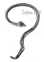 【送料無料】アクセサリー ネックレスゴスロックシングルgoth alchemy boucle d oreille unique serpent temptation single gothique