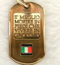 【送料無料】アクセサリー ネックレス プレートタグトリコロールciondolo*targhetta militare * dog tag * tricolore * incisa(4)
