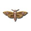 【送料無料】アクセサリー　ネックレス　パーアンストークスpendentif steampunk magradore’s moth 2 par anne stokes