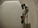 【送料無料】アクセサリー ネックレス ピューターベッドゴシックイヤーラップalchemy gothic ear wrap in peltro letto di sangue roses