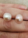 yzlbNX@sNobNsouthsea9ct9ksAXCAOgenuine dusky pink baroque southsea pearls solid 9ct 9k gold studs earrings