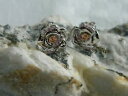 【送料無料】ネックレス シルバーローズウェールズゴールドローズピンクサファイアスタッドイヤリングclogau silver amp; 9ct rose welsh gold rose pink sapphire stud earrings rrp 22900(4)