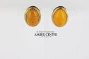 【送料無料】ネックレス ドイツオレンジイタリアンゴールドスタッド¥antique german butterscotch amber studs in 9ct ...