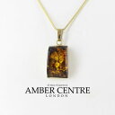 【送料無料】ネックレス イタリアドイツゴールドグランプリ¥バルトペンダントitalian made german green baltic amber pendant in 9ct gold gp0268g rrp290