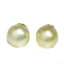 ̵ۥͥå쥹åɥkɥ饤ȥǥsouth sea pearl stud earrings 14k yellow gold 11mm light golden