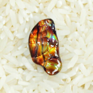 【送料無料】ネックレス　アリゾナfire agate gem aaa quality from slaughter mountain arizona 741 ct