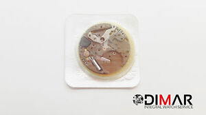 【送料無料】　腕時計　circuit esa 947121