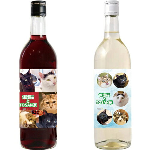 ͽ ݸǭTOSANch 2026ǯ 磻 2ܥå 720ml 2W005NN