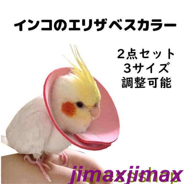 thum2