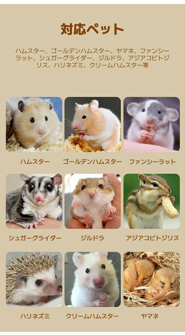 thum3