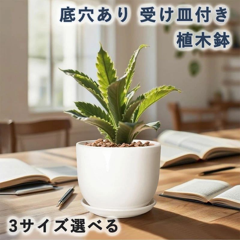 観葉植物 ホワイト 植木鉢 鉢 室内 底穴あり 陶器鉢 北欧 観葉植物 プランター 受け皿付き 光面 インテリア 鉢 丸 おしゃれ ホワイト 鉢植え 白 部屋