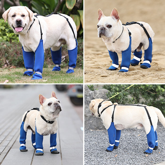 犬用レッグカバー 調節 犬服 犬用パンツ 犬 レインコート サスペンダー付き 防水 ...