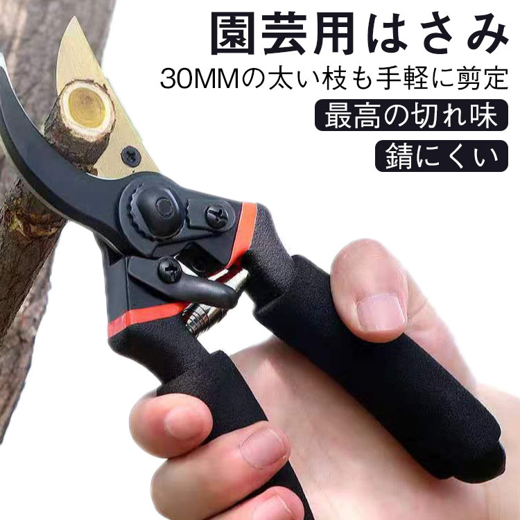 剪定ばさみ 花ハサミ 枝切り 園芸ハサミ ばさみ プロ 剪定はさみ ガーデニング 錆びにくい 剪定バサミ 園芸用はさみ 枝きりばさみ えだきりばさみ 剪定 枝切りバサミ 生け 庭木 剪定鋏 hokutostore-10120967 hokutostore サンプル画像2