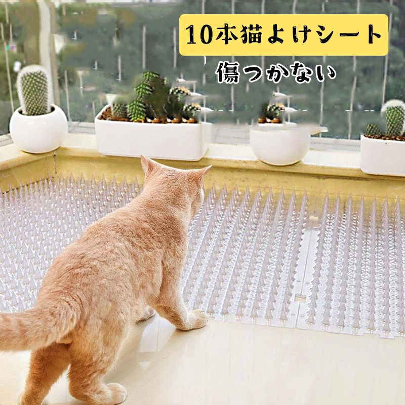 &nbsp;商品詳細 商品内容 鳥よけシート（10本） 素材 樹脂 重量 （約）800g サイズ 幅430x奥行340mm カラー クリア 在庫について 当店では複数店舗で在庫を共有するシステムとなっております。そのため、ご注文後に商品が品切れとなっている場合がございます。 ご注文後に商品が品切れとなってしまった際には、メールもしくは電話にてご連絡いたします。 商品説明 【生産国】：中国 【商品について】 ●表記している商品以外のものはセットではございません。 ●表記しているサイズは平置きで採寸ですので、±0.5〜1 cmの誤差が生じる場合がございます。 ●仕入れ時期により細部が画像と若干違う場合や日本語表示の品質タグがついていない場合がございます。気になさる方はご遠慮ください。 ●商品写真はできる限り実物の色に近づけるよう加工しておりますが、お客様が使用するパソコンのモニター設定や部屋の照明により多少、色の変化が感じられる場合がございます。 【生産について】 ●製造中（縫製、染色など）により商品において色味や柄、サイズに若干の誤差や、生地を織る際に糸の継ぎ目や多少のほつれ等が生じる場合がございますが、品質上の問題ではございませんのでご了承の上お買い求めくださいませ。 ●機械による生産の為、生地の継ぎ目の若干のズレやほつれなど、形やサイズに多少の誤差が生じる場合がございます。 ●同じ商品でも“生産時期”や“カラー“により形やサイズに多少の“誤差“が生じる場合もございます。 詳しくは商品画像や実寸サイズにてご確認くださいませ。 ●プリント生地の商品については、生地の裁断・縫製方法により写真と同様の柄が出ない場合がございます。 ※皆様により良い商品をより安くご提供させて頂けますよう、お注文の際は、サイズ・カラー等よくご確認の上、ご注文くださいますようお願い申し上げます。 ※予め十分ご確認の上、ご注文頂きますようお願い申し上げます。&nbsp;商品詳細 商品内容 鳥よけシート（10本） 素材 樹脂 重量 （約）800g サイズ 幅430x奥行340mm カラー クリア 在庫について 当店では複数店舗で在庫を共有するシステムとなっております。そのため、ご注文後に商品が品切れとなっている場合がございます。 ご注文後に商品が品切れとなってしまった際には、メールもしくは電話にてご連絡いたします。 商品説明 【生産国】：中国 【商品について】 ●表記している商品以外のものはセットではございません。 ●表記しているサイズは平置きで採寸ですので、±0.5〜1 cmの誤差が生じる場合がございます。 ●仕入れ時期により細部が画像と若干違う場合や日本語表示の品質タグがついていない場合がございます。気になさる方はご遠慮ください。 ●商品写真はできる限り実物の色に近づけるよう加工しておりますが、お客様が使用するパソコンのモニター設定や部屋の照明により多少、色の変化が感じられる場合がございます。 【生産について】 ●製造中（縫製、染色など）により商品において色味や柄、サイズに若干の誤差や、生地を織る際に糸の継ぎ目や多少のほつれ等が生じる場合がございますが、品質上の問題ではございませんのでご了承の上お買い求めくださいませ。 ●機械による生産の為、生地の継ぎ目の若干のズレやほつれなど、形やサイズに多少の誤差が生じる場合がございます。 ●同じ商品でも“生産時期”や“カラー“により形やサイズに多少の“誤差“が生じる場合もございます。 詳しくは商品画像や実寸サイズにてご確認くださいませ。 ●プリント生地の商品については、生地の裁断・縫製方法により写真と同様の柄が出ない場合がございます。 ※皆様により良い商品をより安くご提供させて頂けますよう、お注文の際は、サイズ・カラー等よくご確認の上、ご注文くださいますようお願い申し上げます。 ※予め十分ご確認の上、ご注文頂きますようお願い申し上げます。