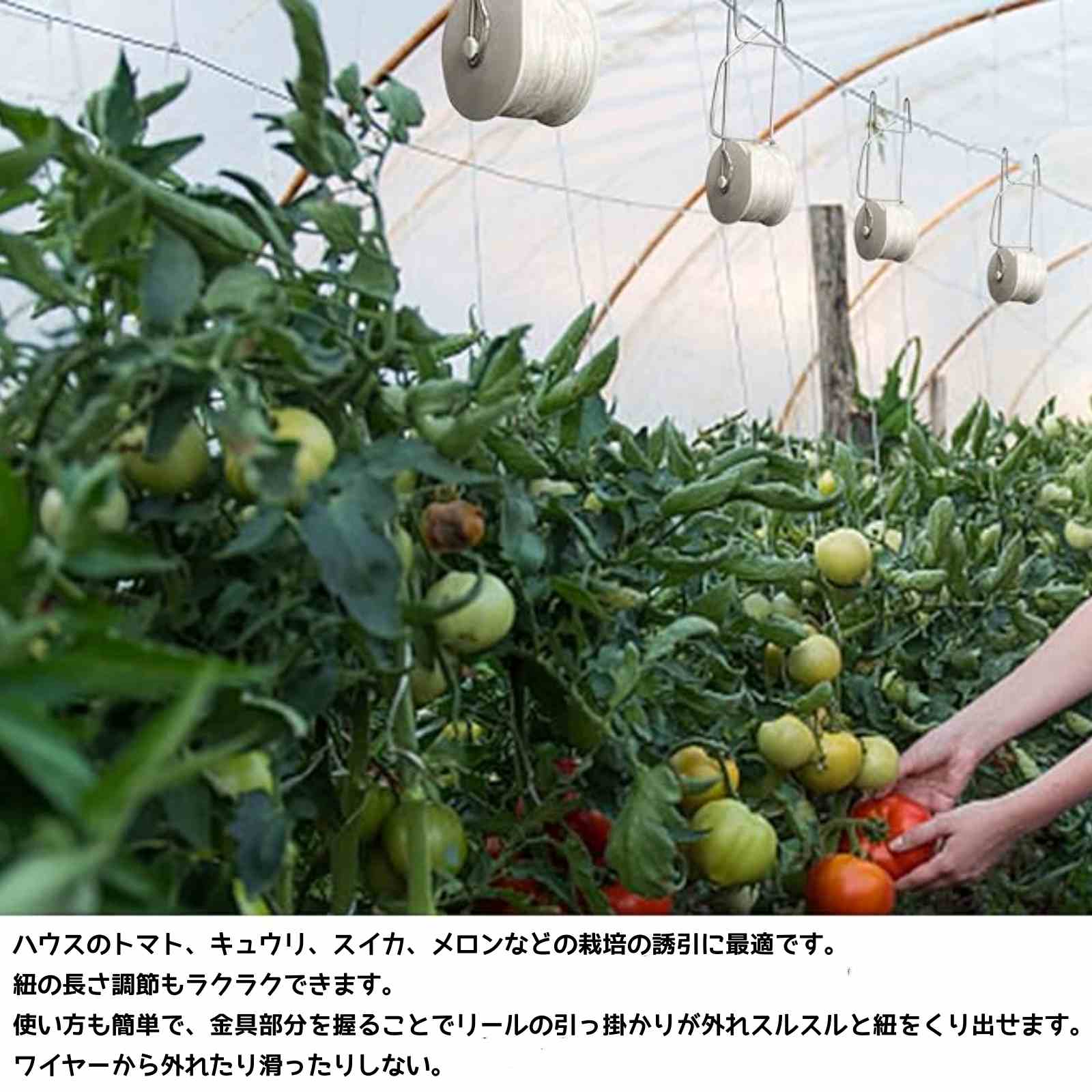 【50個】【100個】【150個】【200個】トマト誘引資材 ローラーフック 誘引フック ...