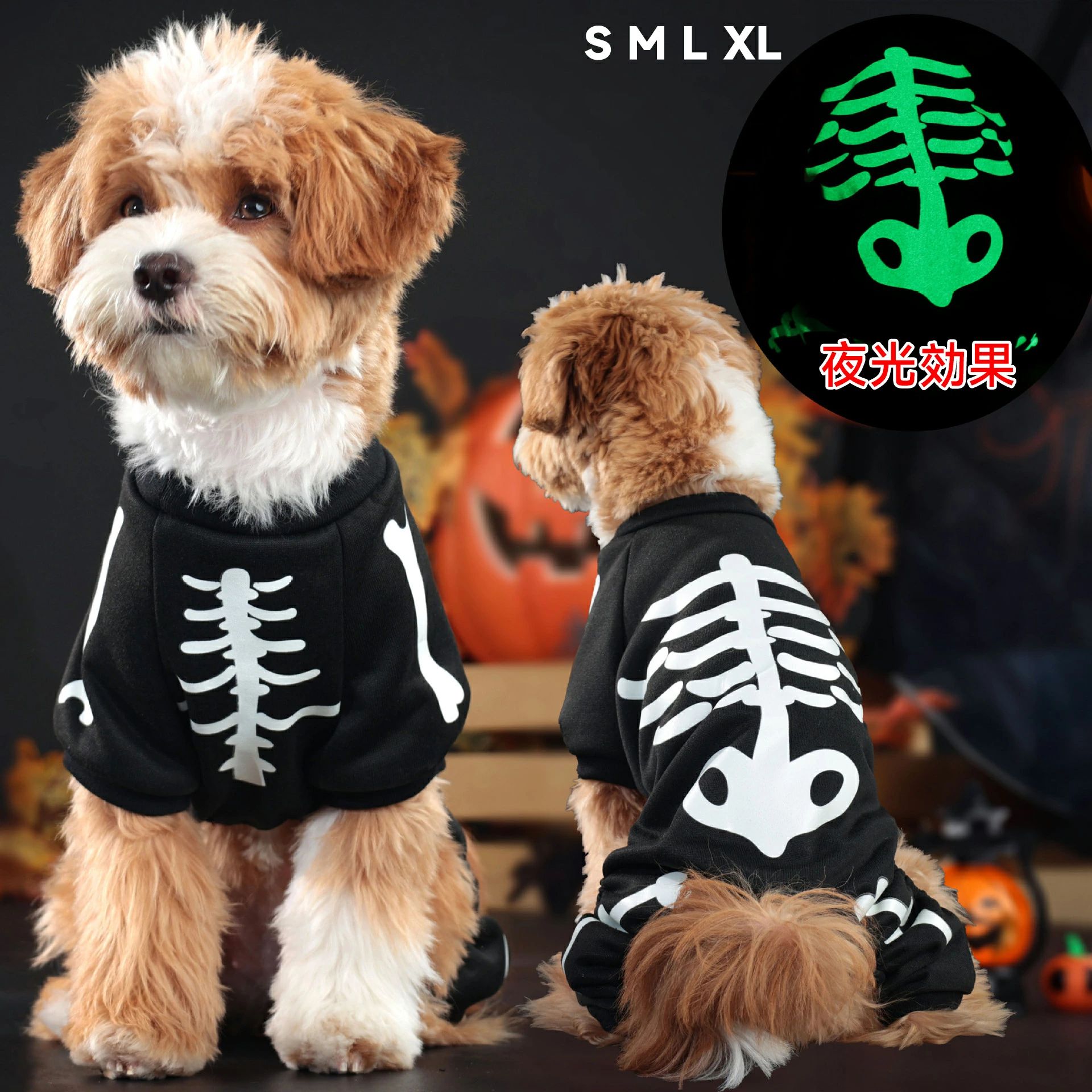 �ϥ������� �ڥå� ���� ���� �ϥ������� �ϥ������� �����ץ� ��� ���� ������ Halloween ���� ���襤�� ���٥�� �ڥå� �ȥ��ס��ɥ� �͵� ...