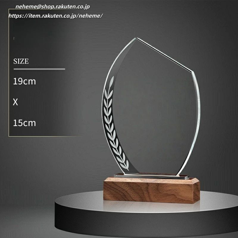 オリジナルの物 金融業界 退職 クリスタル 盾 クリスタルトロフィー オーダーメイド 退職記念品 サンプ..