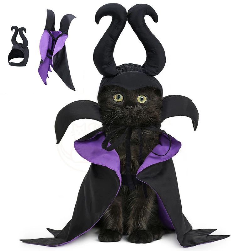 �ϥ������� ǭ �����å� ������ �� ���� �� ˹�� Halloween �ڥå����� �ޥ�� ˹��