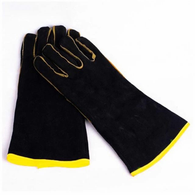 ưʪ �� ������ɻ� ���ߤĤ� ��� �ѵ��� ���� ���� �ڥå� ���� 35cm �ɿ� �������� �������� ���� ǭ �֥�å� ��Ǯ ����� �ͤ��ɤ��ɻ�