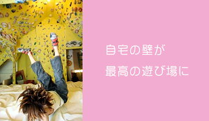 【耐久テスト済み / Boltタイプ】 40 pack オーソドックス ホールド セット / 40 Pack Sampler クライミングホールド【ボルダリング、アイテム、アウトドア、ウォール、壁、自宅、家、MIX、ミックス、安心、丈夫なセット】通販格安セール情報 楽天 通販