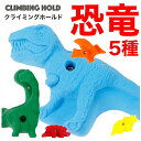 【Boltタイプ】 5 XL ダイナソー 恐竜 - 5 Pack Dinosaurs クライミングホールド【ティガレックス アウトドア 自宅 壁をプライベートウォール 丈夫で安心 可愛い形状 ボルダリング 子供も遊び…