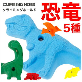 【Boltタイプ】 5 XL ダイナソー (恐竜) - 5 Pack Dinosaurs クライミングホールド【ティガレックス、アウトドア、自宅、壁をプライベートウォール、丈夫で安心、可愛い形状、ボルダリング、子供も遊びやすい】