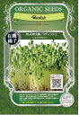 A267 ラディッシュ_かいわれ大根(スプラウト)中袋_4560496702643