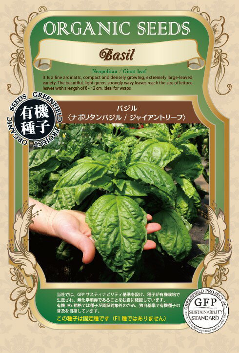 A659 バジル (ナポリタンバジル/ジャイアントリーフ) [ハーブのタネ] 有機種子・固定種 4560496706887