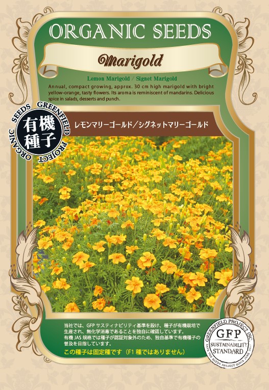 楽天市場】レモンマリーゴールドの通販
