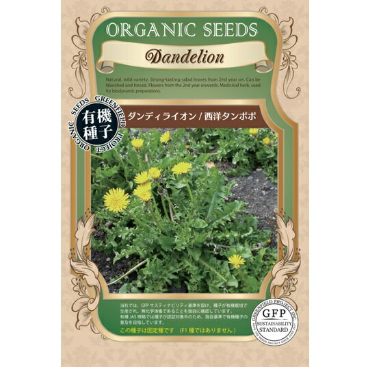 A678 ダンディライオン（西洋タンポポ）[ハーブのタネ] 有機種子・固定種 4560496708072