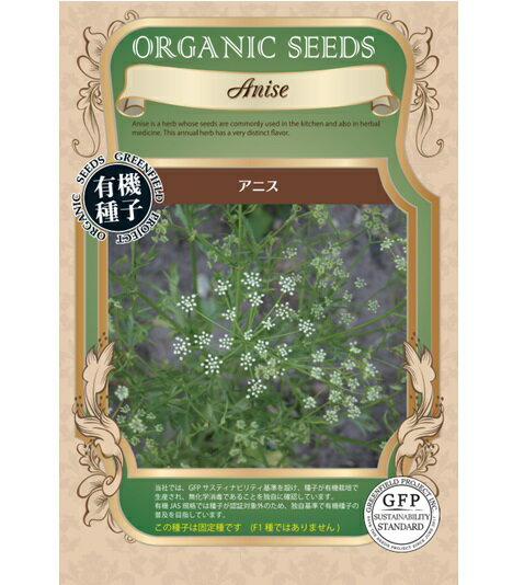 A683 アニス [ハーブのタネ] 有機種子・固定種 4560496708126