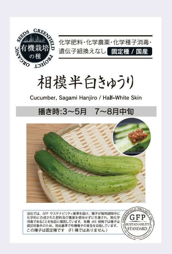乐天商城 - A767 相模半白きゅうり [果菜のタネ] 有機種子 固定種 生食に最適なきゅうり！ 4573632280844