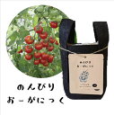 商品画像2