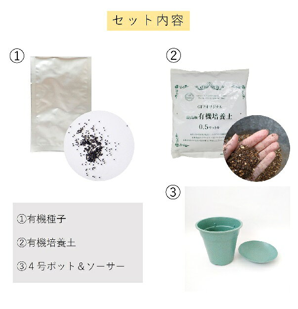 B238 [葉ねぎ] オンラインレッスン付き すべてオーガニックな栽培キット 和の薬味 ...