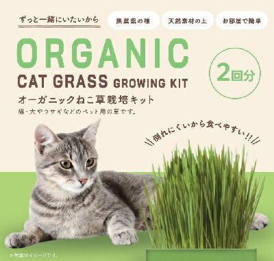 B225 オーガニック ねこ草栽培キット 4560496708355