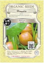 A069 かぼちゃ(赤皮栗) 4560496700830