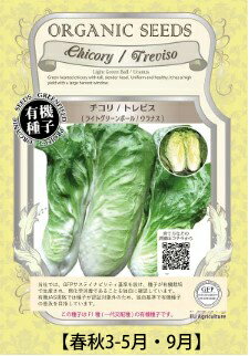 A254 チコリ（トレビス）ライトグリーンボール（ウラナス）小袋_4560496702513 大袋_4560496702759